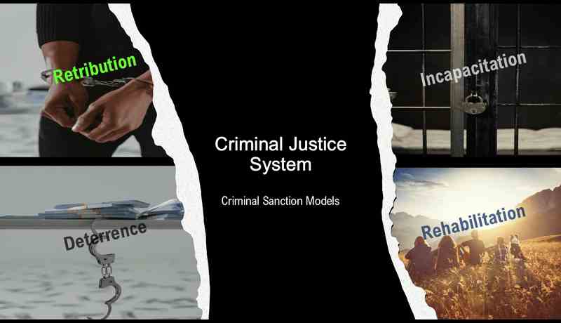 criminal sanction models